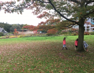 RHS Harlow Carr, Harrogate; A parenting life saver