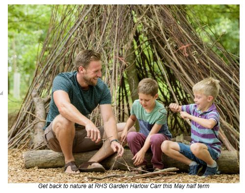 Harrogate Mama Blog, Harrogate Mama, RHS Scouting, May Half Term