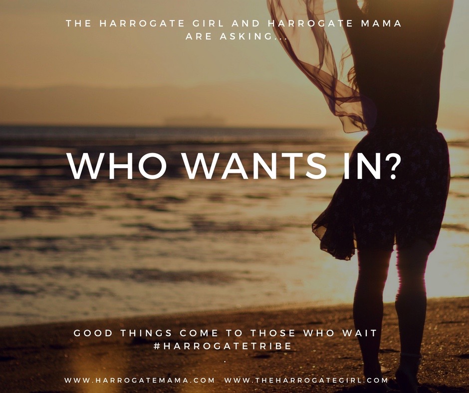 Harrogate Blogger, Harrogate Mama, Harrogate Mama Blog, Harrogate Blog, Harrogate Tribe Event, Summer Event, Summer Night Out, Blogger, Harrogate, Mama, Blog,Who Wants In Tease.jpg