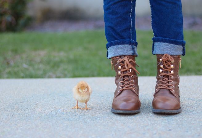 chick.jpg