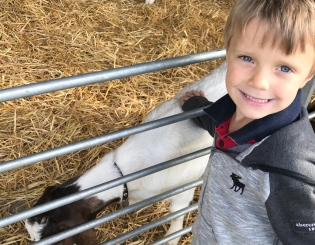 All the Fun of Countryside Live in Harrogate