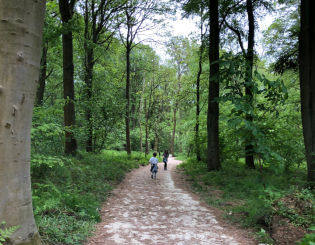 Swinsty Reservoir Walk with the Family – sponsored post