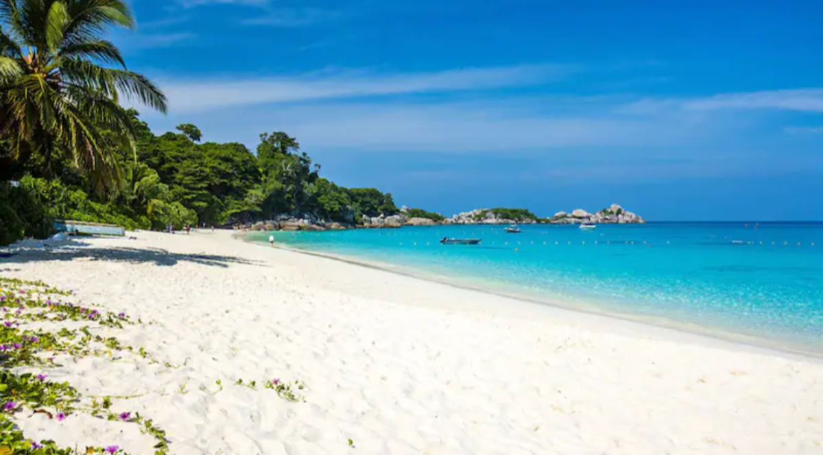 The Benefits and Cost Savings of booking with a Travel Agent