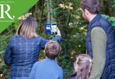 Join the Family Fun: Raworths Book Trail in the Pinewoods!